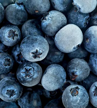iqf blueberries royal city