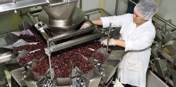 royal city dried fruit supplier